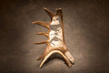 Caribou Antler Shovel Carving (Alaska Big 4)