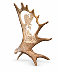 Last Catch — Eagle, Bear & Fish Moose Antler Carving