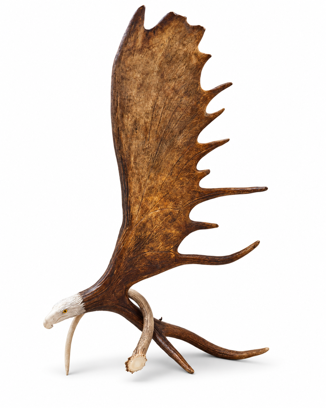 Soaring Eagle large moose antler wall carving on white background